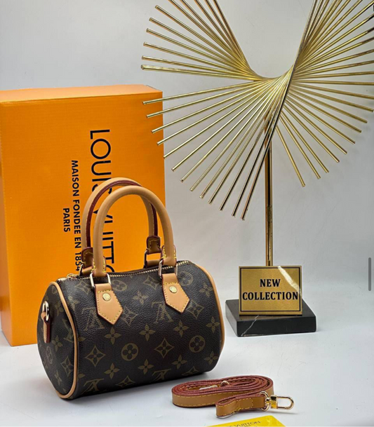 Louis Vuitton nano speedy
