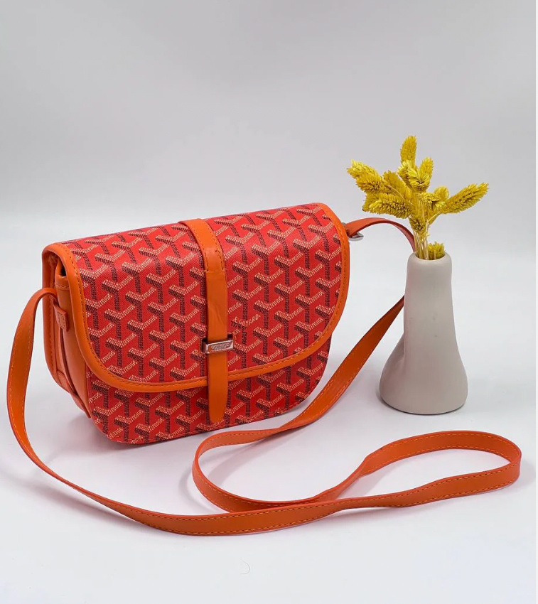 Goyard Neseser πορτοκαλί