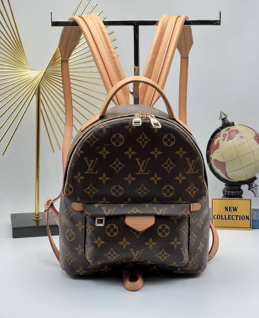 Louis Vuitton backpack small
